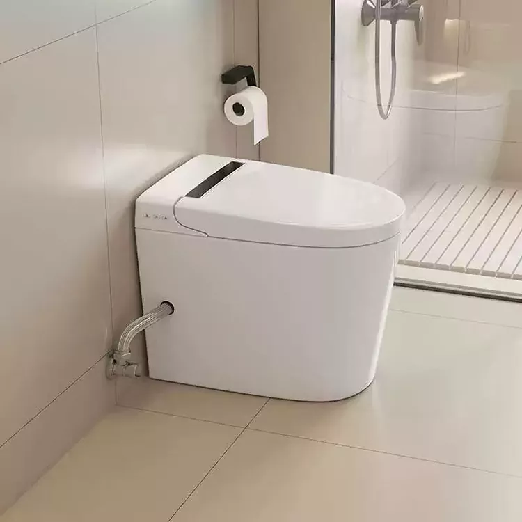 Modern Minimalist Smart igbonse